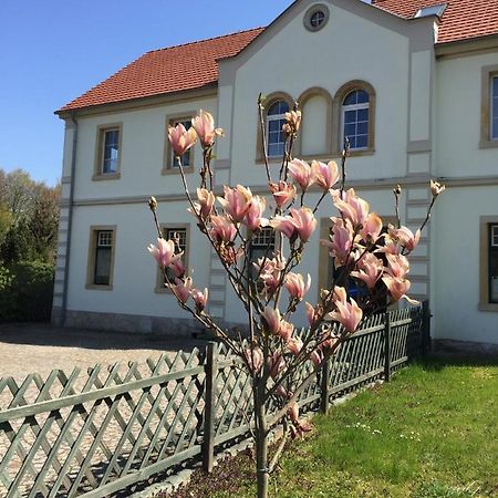 Bed and Breakfast Stara Szkola Debowy Gaj The Old School Debowy Gaj Львувек-Слёнски Экстерьер фото