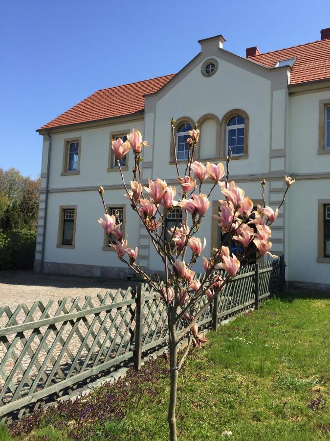 Bed and Breakfast Stara Szkola Debowy Gaj The Old School Debowy Gaj Львувек-Слёнски Экстерьер фото