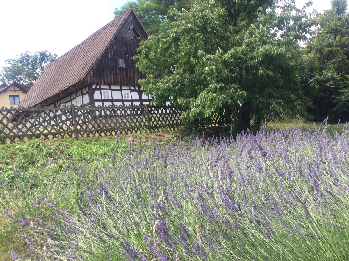 Bed and Breakfast Stara Szkola Debowy Gaj The Old School Debowy Gaj Львувек-Слёнски Экстерьер фото